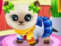 Игра Салон красоты для животных 3