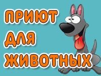 Игра Приют для животных
