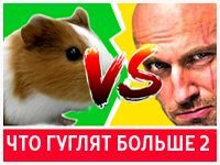 Игра Что гуглят больше: обновление
