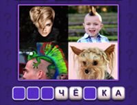 Игра Угадай слово: 4 Фото 1 Слово