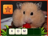 Игра Угадай Животное