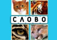 Игра 4 Фото и Слово с ответами