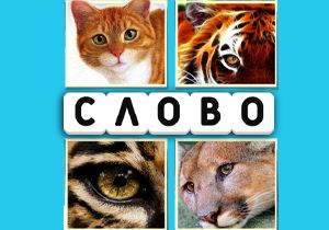 Игра 4 Фото и Слово с ответами