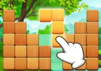 Игра Лесные Блоки